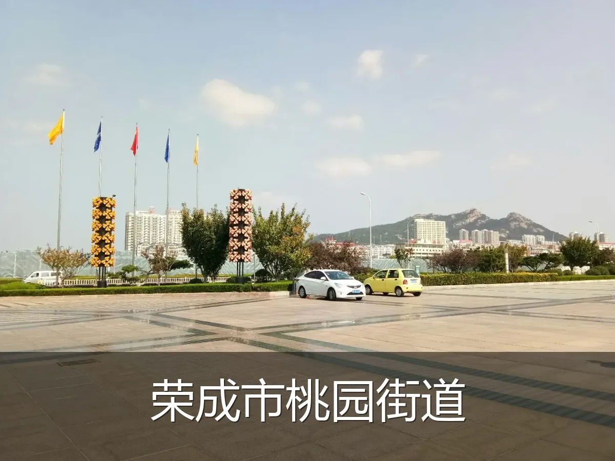 荣成市桃园街道